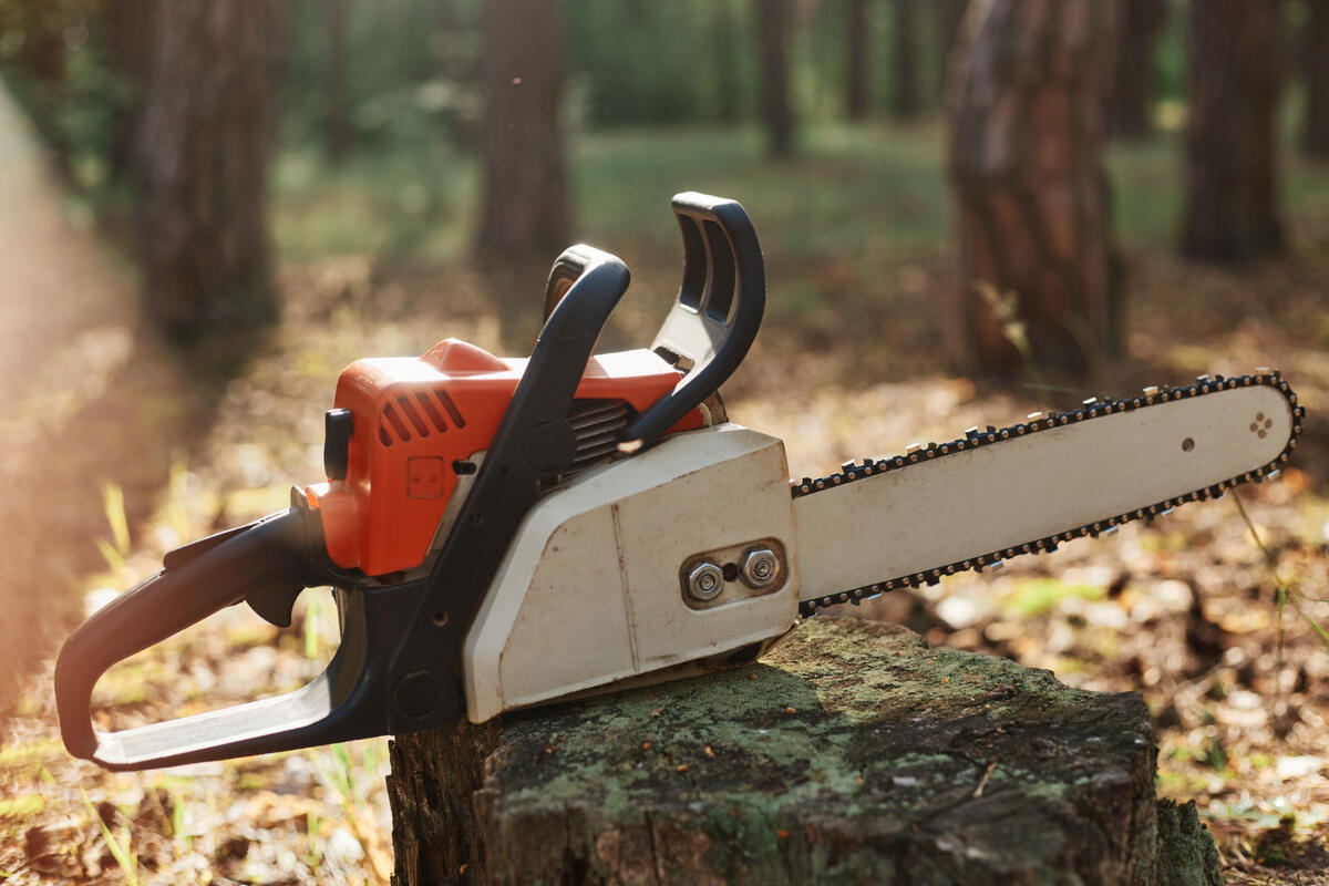 Tree-Service-Wallaceburg