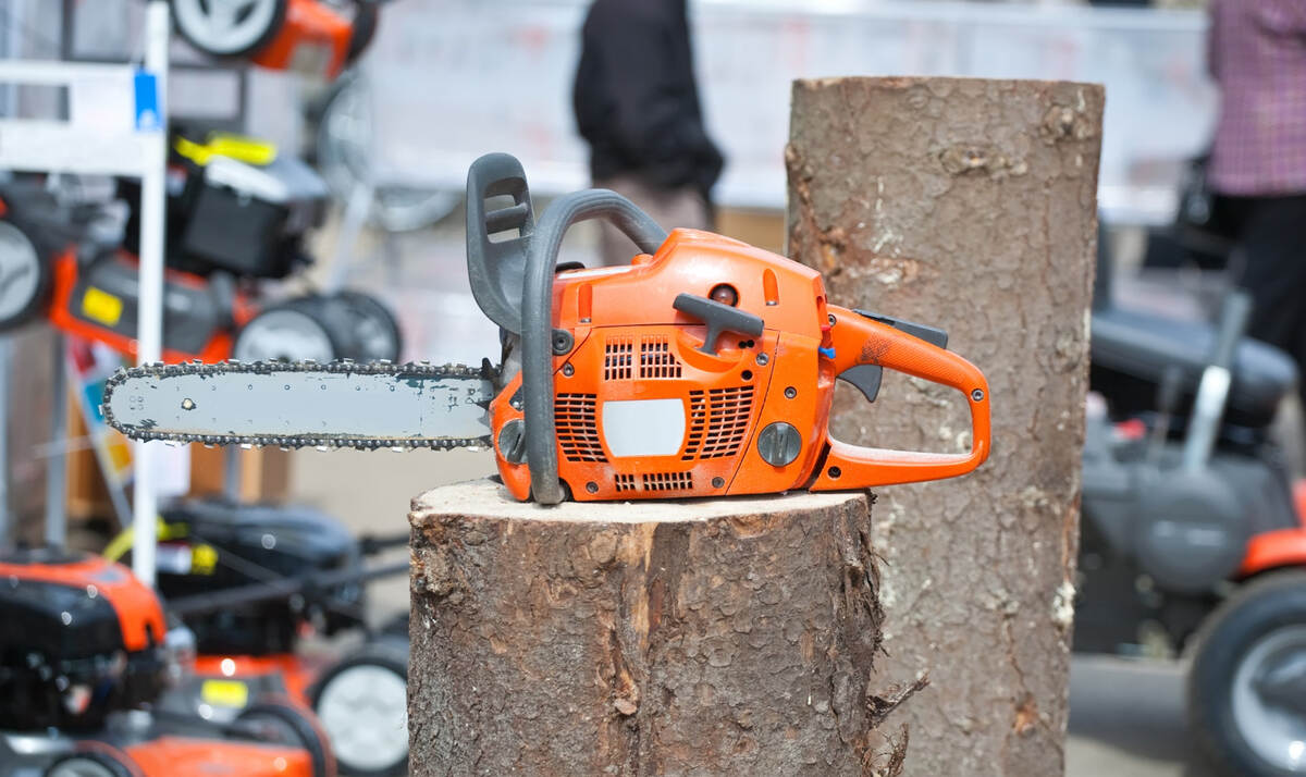 tree-removal-Tilbury